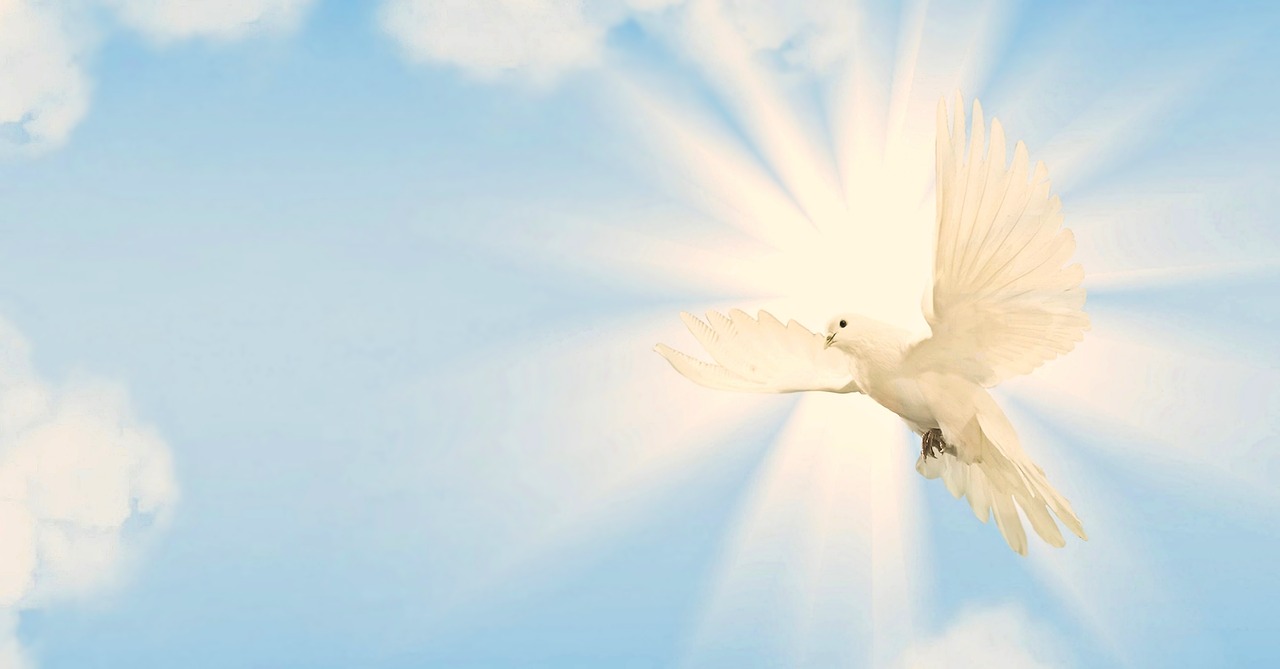 Image for a prayer about God's goodness