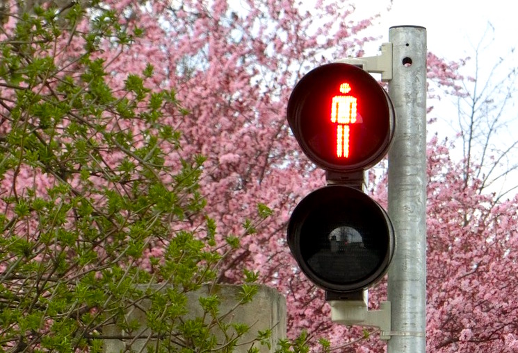Image for What stops answered prayers