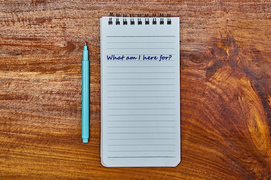 Image for Did Jesus come to give us a purpose-driven life?