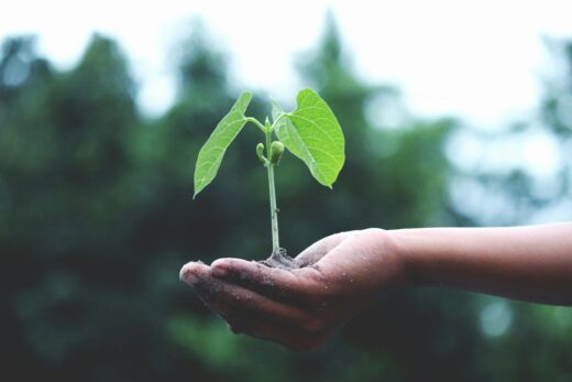 Image for Spiritual hindrances to planting God’s Word in our hearts