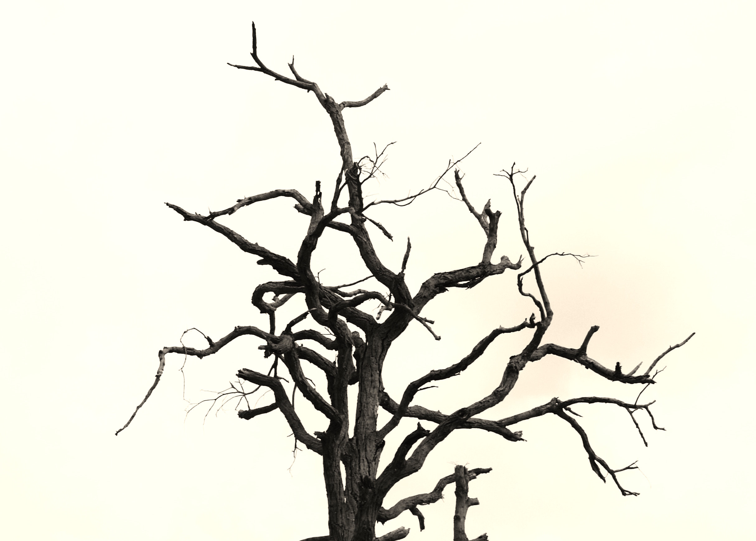 Image for Breaking free from witchcraft curses