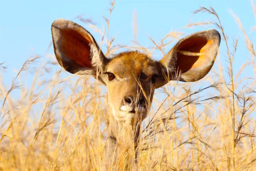 Image for Hearing God’s voice clearly