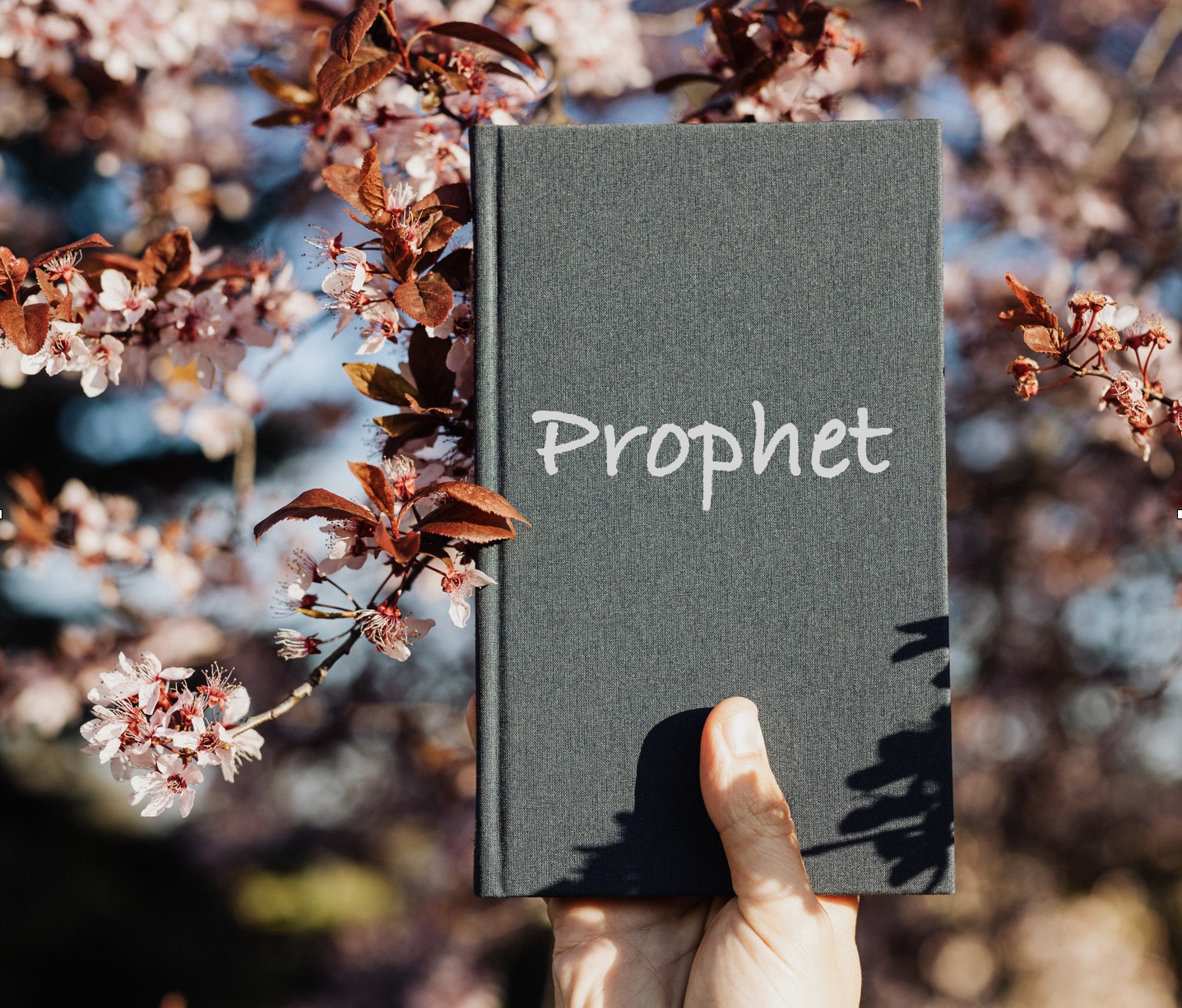 Image for A prophet’s calling in God’s Kingdom